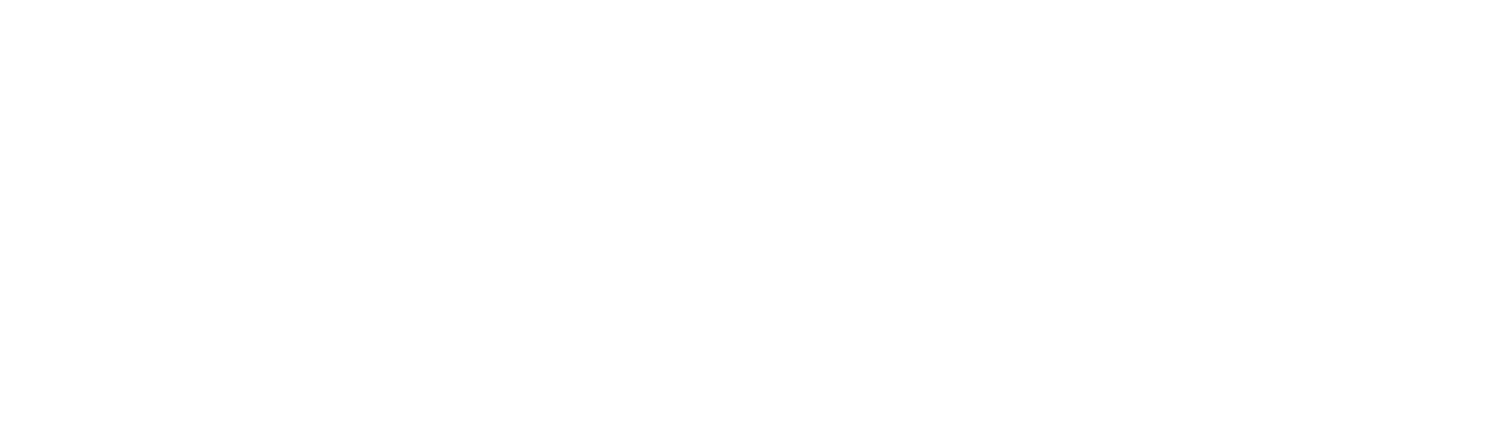 Needl Logo